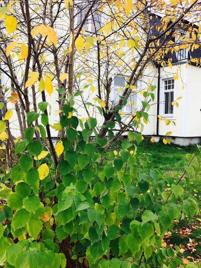Parkgatan Villa Krylbo Экстерьер фото
